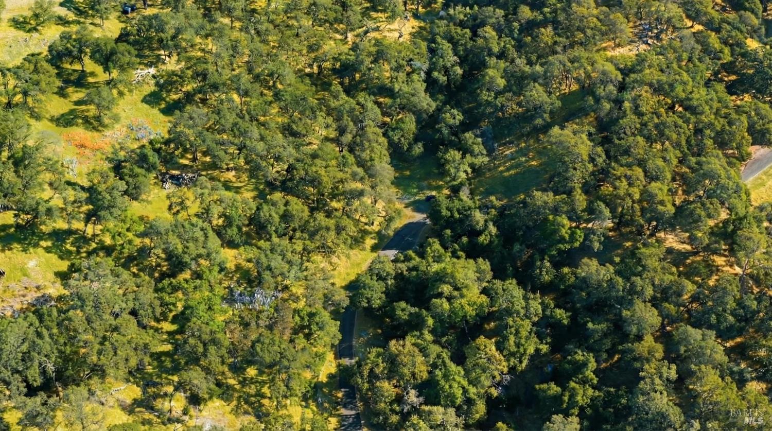 20 Longhorn Ridge Road