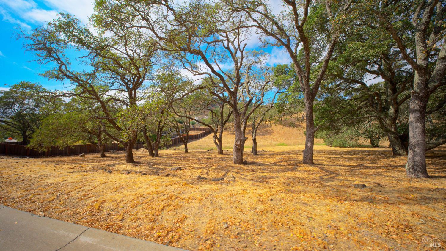 743 Bridle Ridge Court