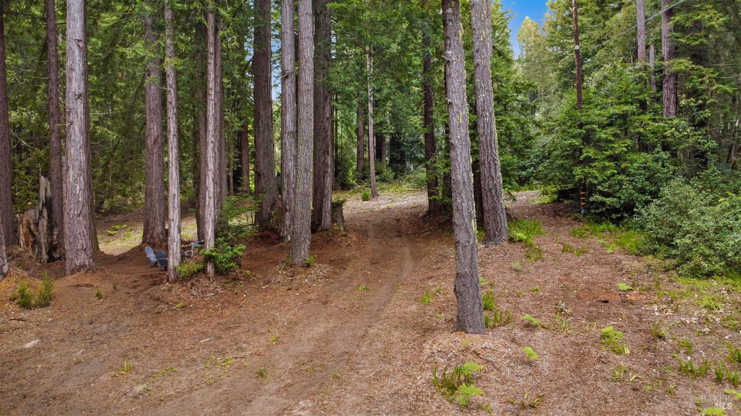 22039 Timber Cove Road