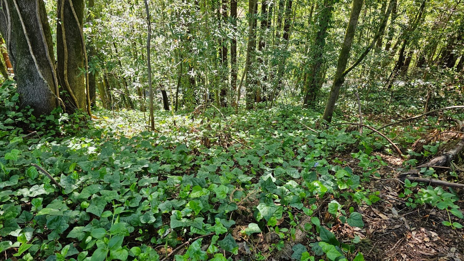 15953 Riverside (palo Alto) Drive