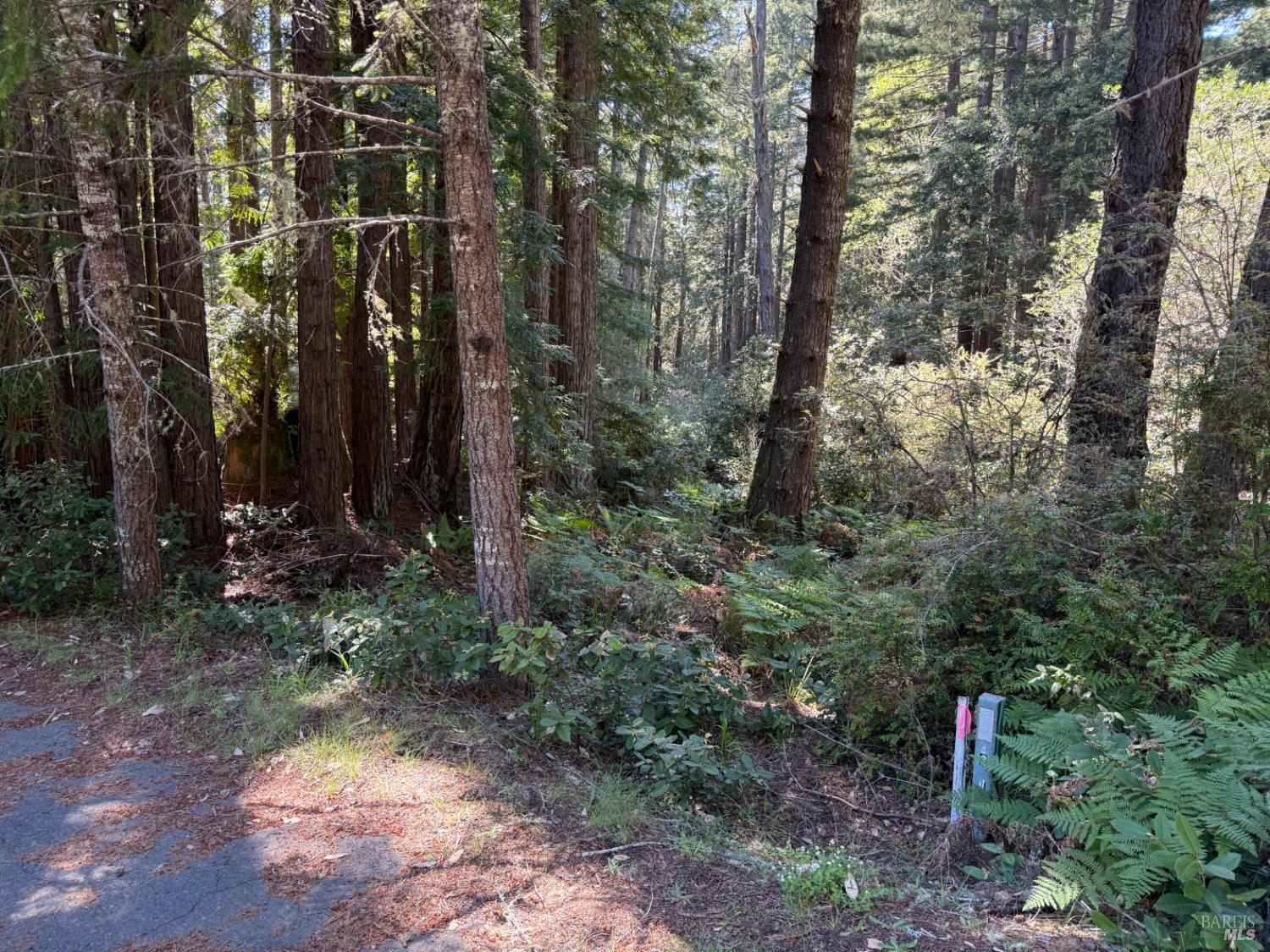 369 Big Tree Close Road #27a13