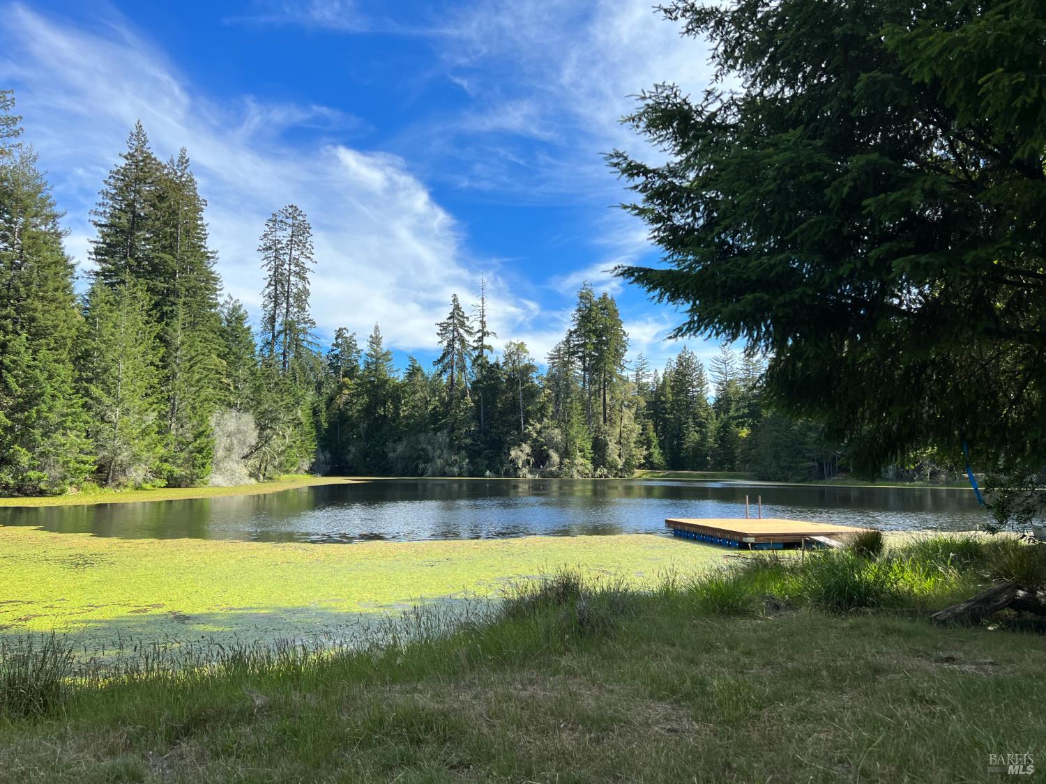 31010 Stewarts Point-skaggs Springs Road