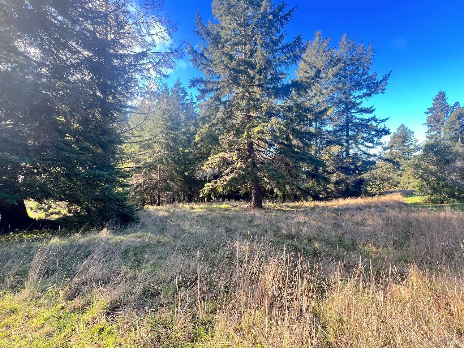 38065 Foothill Close None