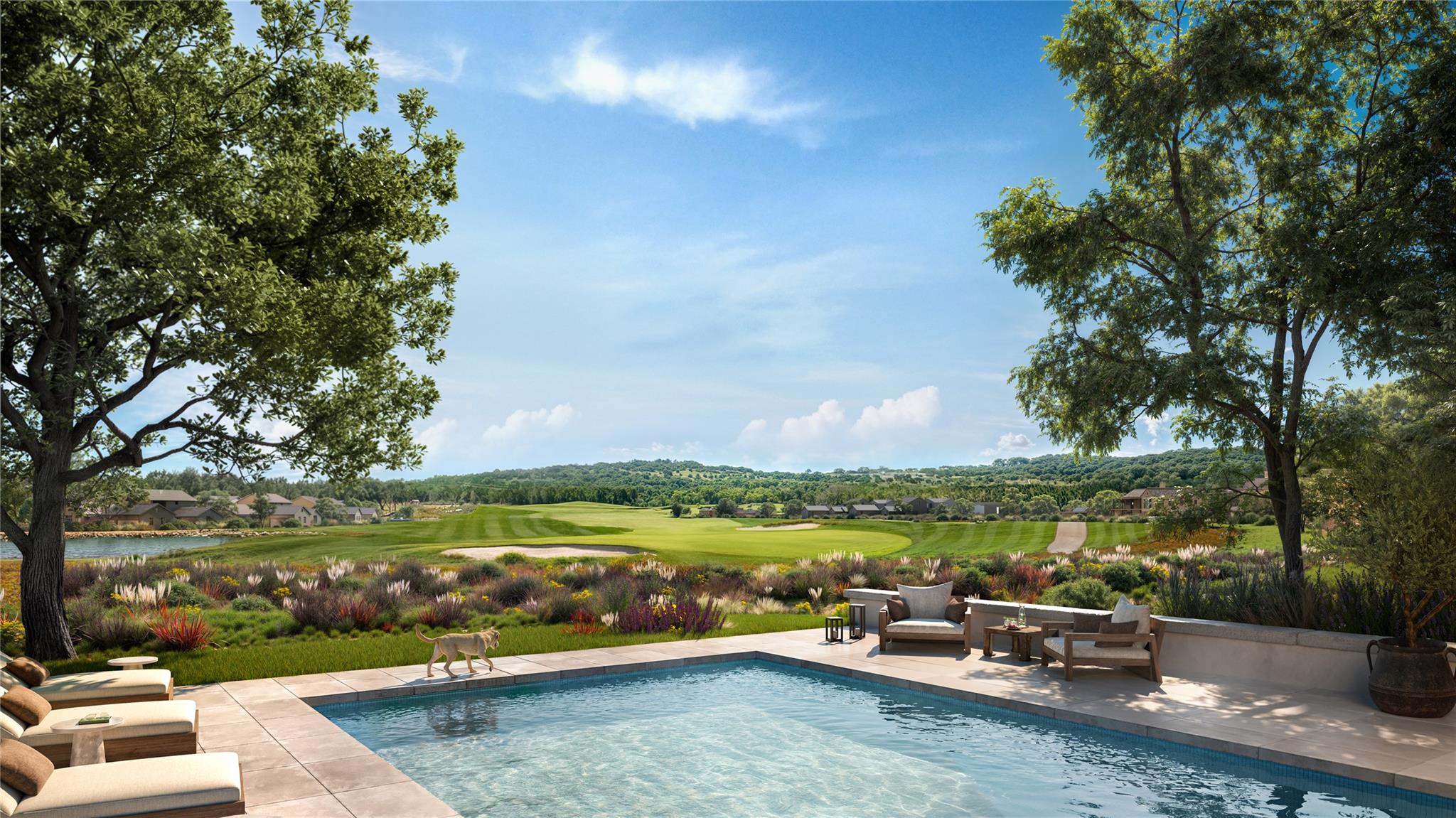 _ Pleasant Knoll Drive Tx 78669