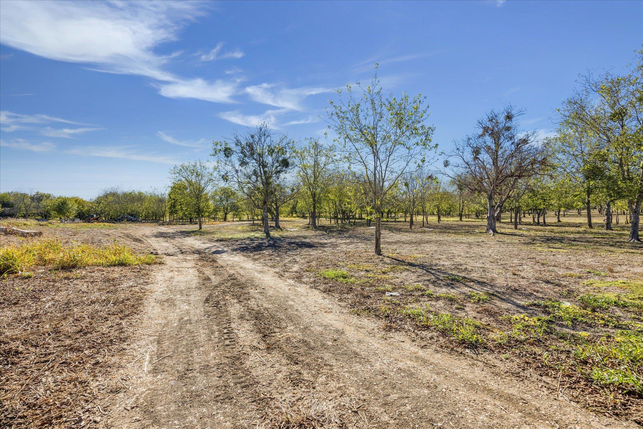 10719 San Jose Tx 78617