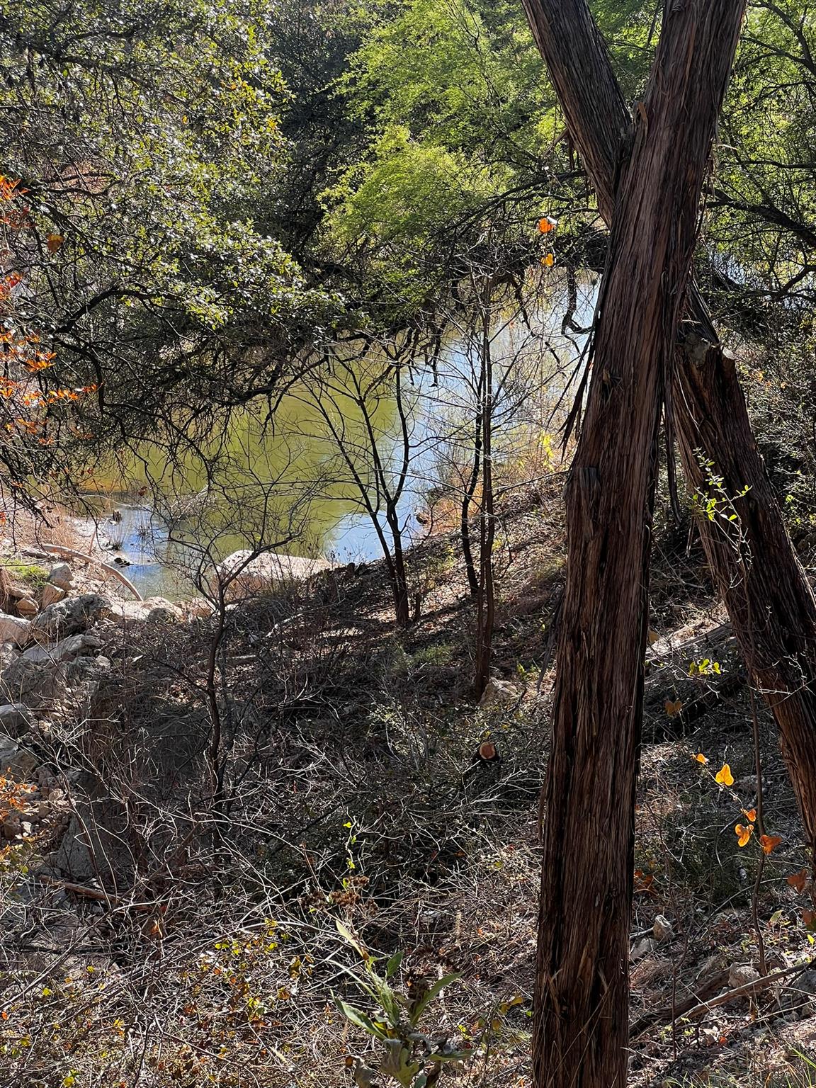 26809 Blue Cove Road Blue Cove Tx 78654