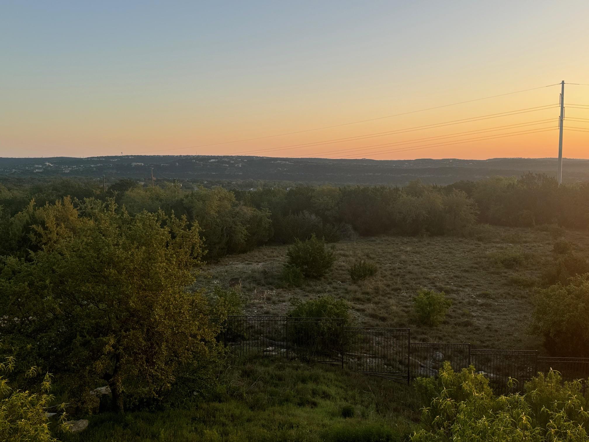 608 Marly #5 Tx 78733