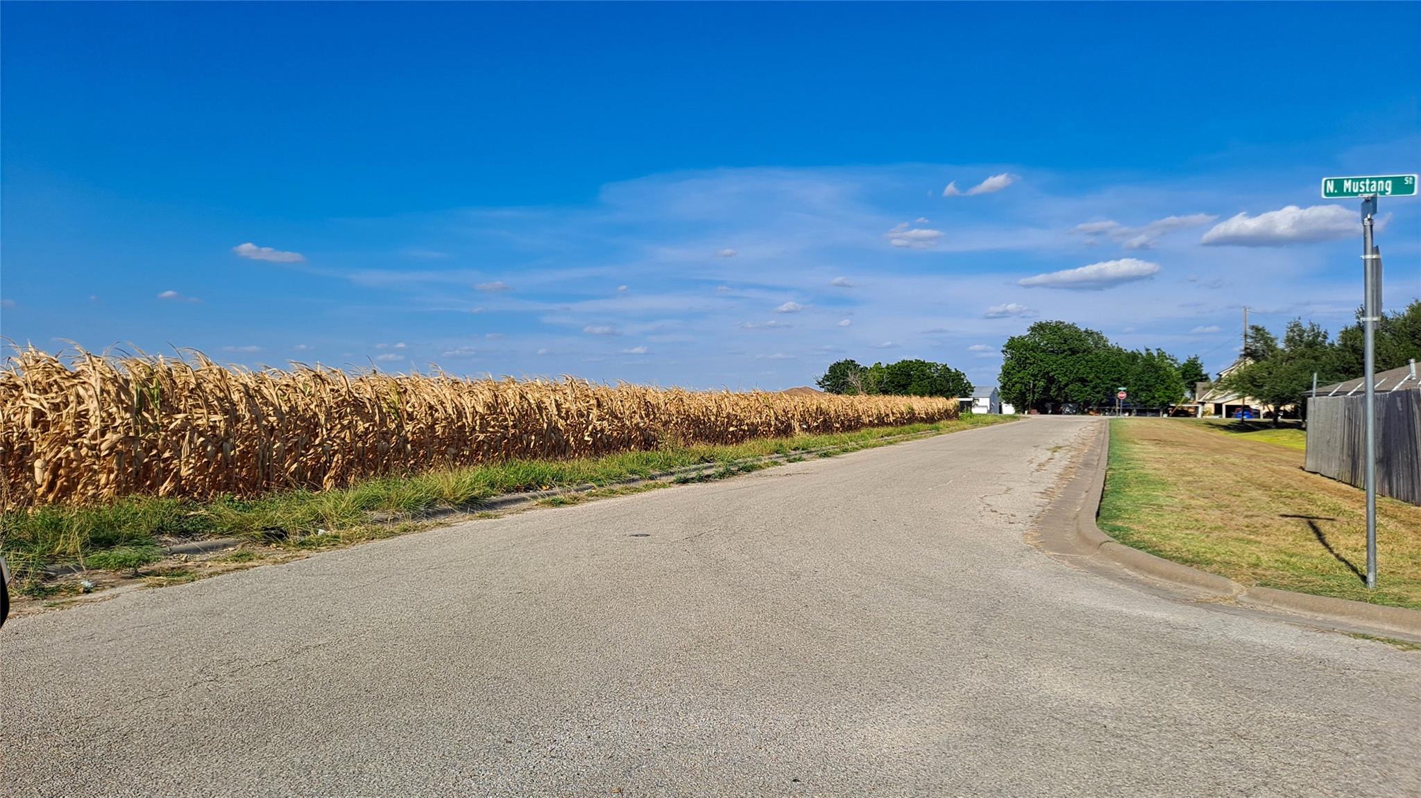 Lot 8 East Plum Tx 76530