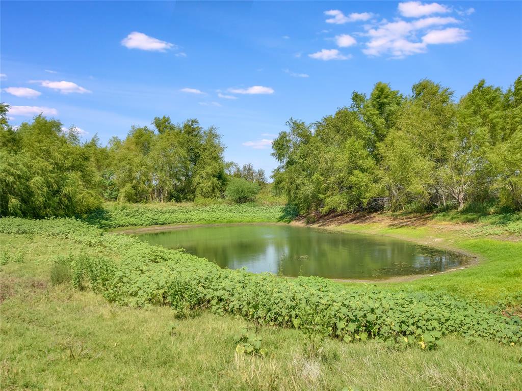 1000 County Rd 484 Tx 78621