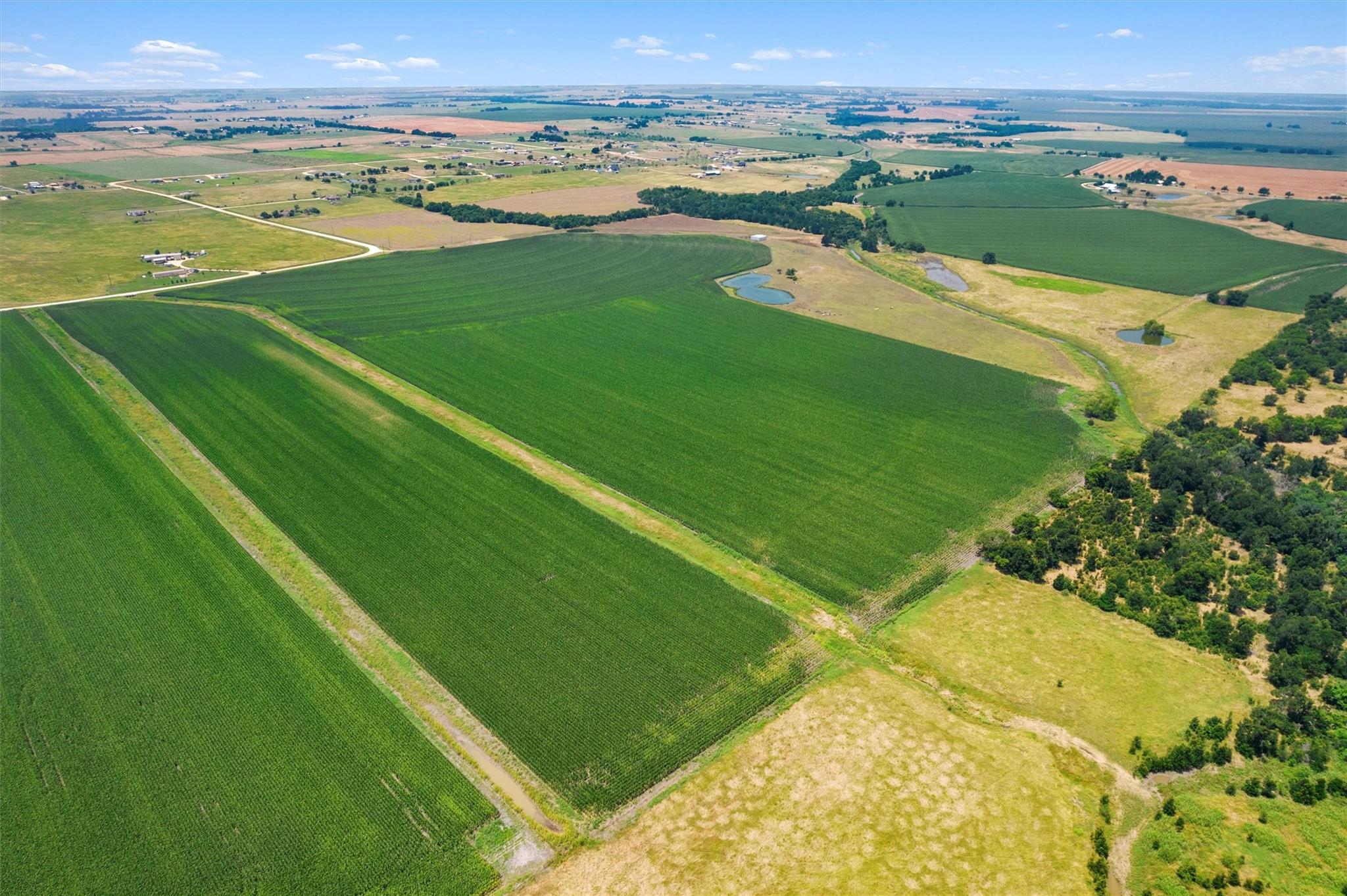 1117 County Road 423 Tx 76574