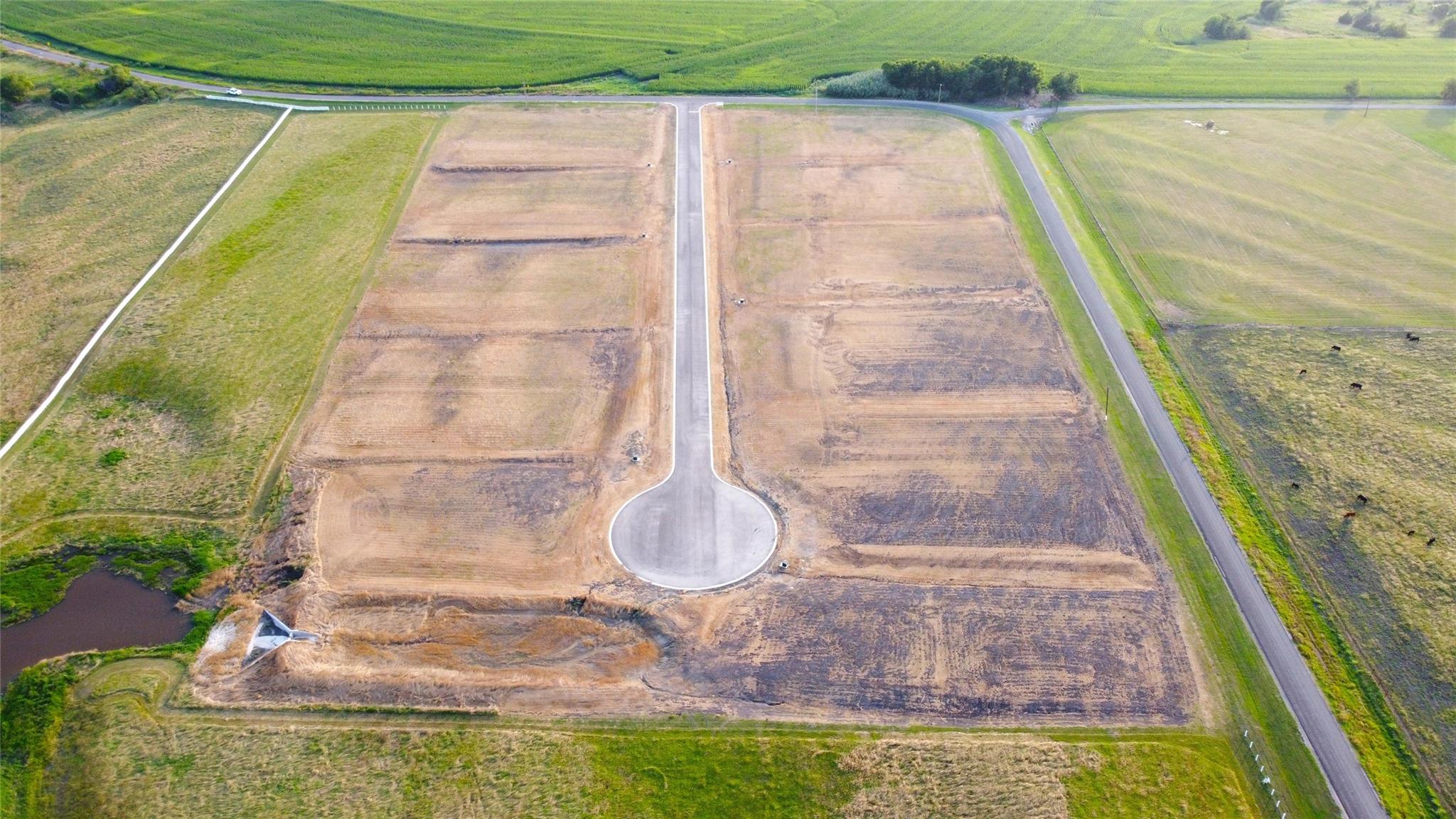 216 Tigerlily Tx 76578