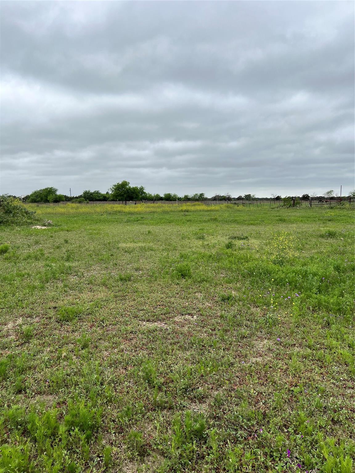 850 County Rd 219 Tx 76527