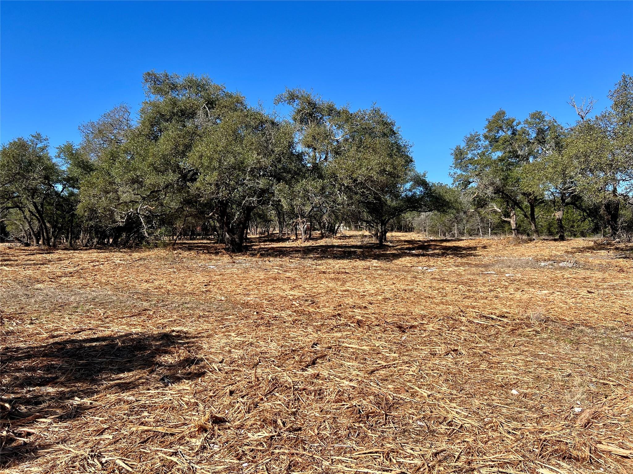 422 Patricia Tx 78628