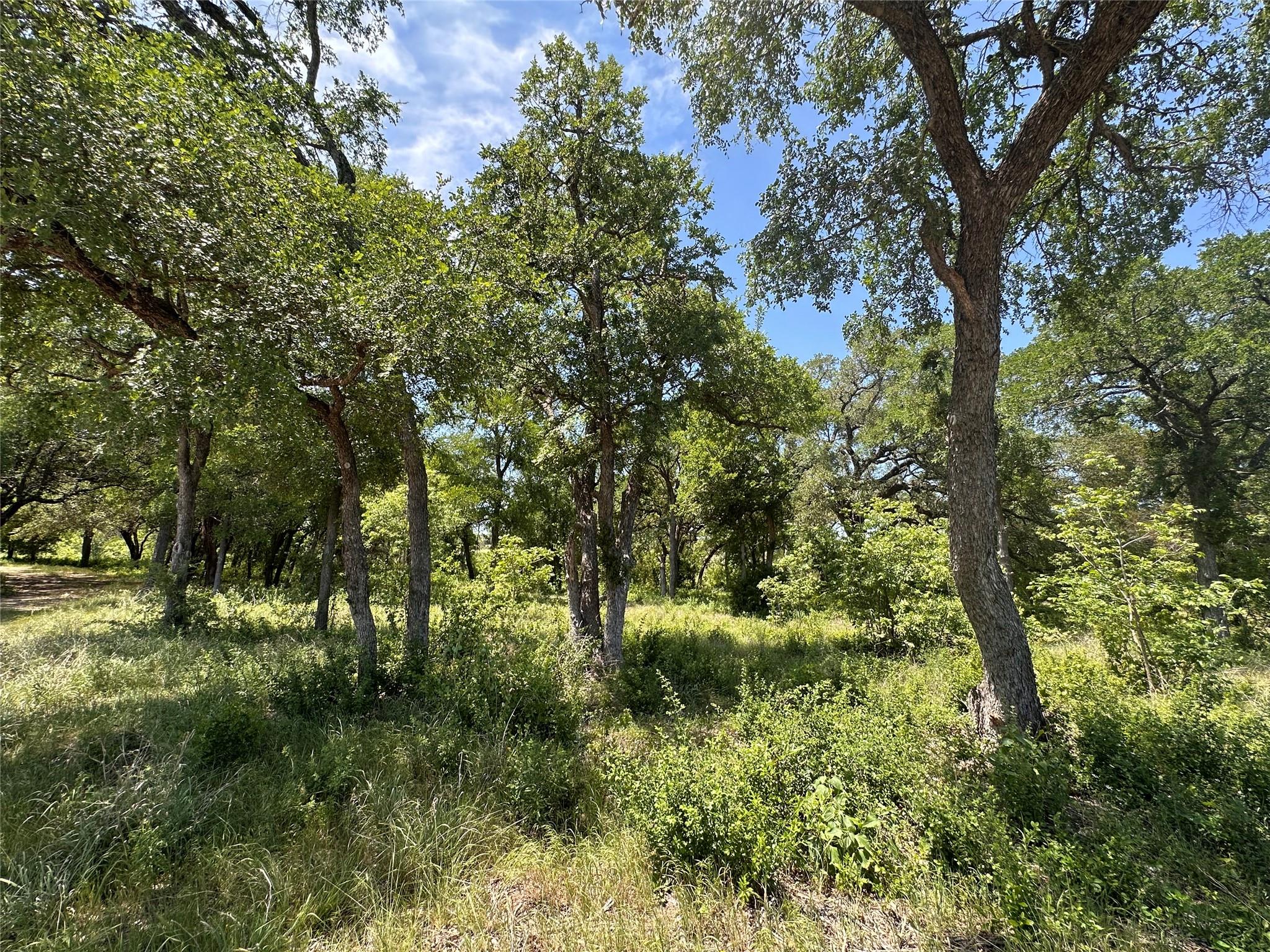 100 Serenity Tx 78642