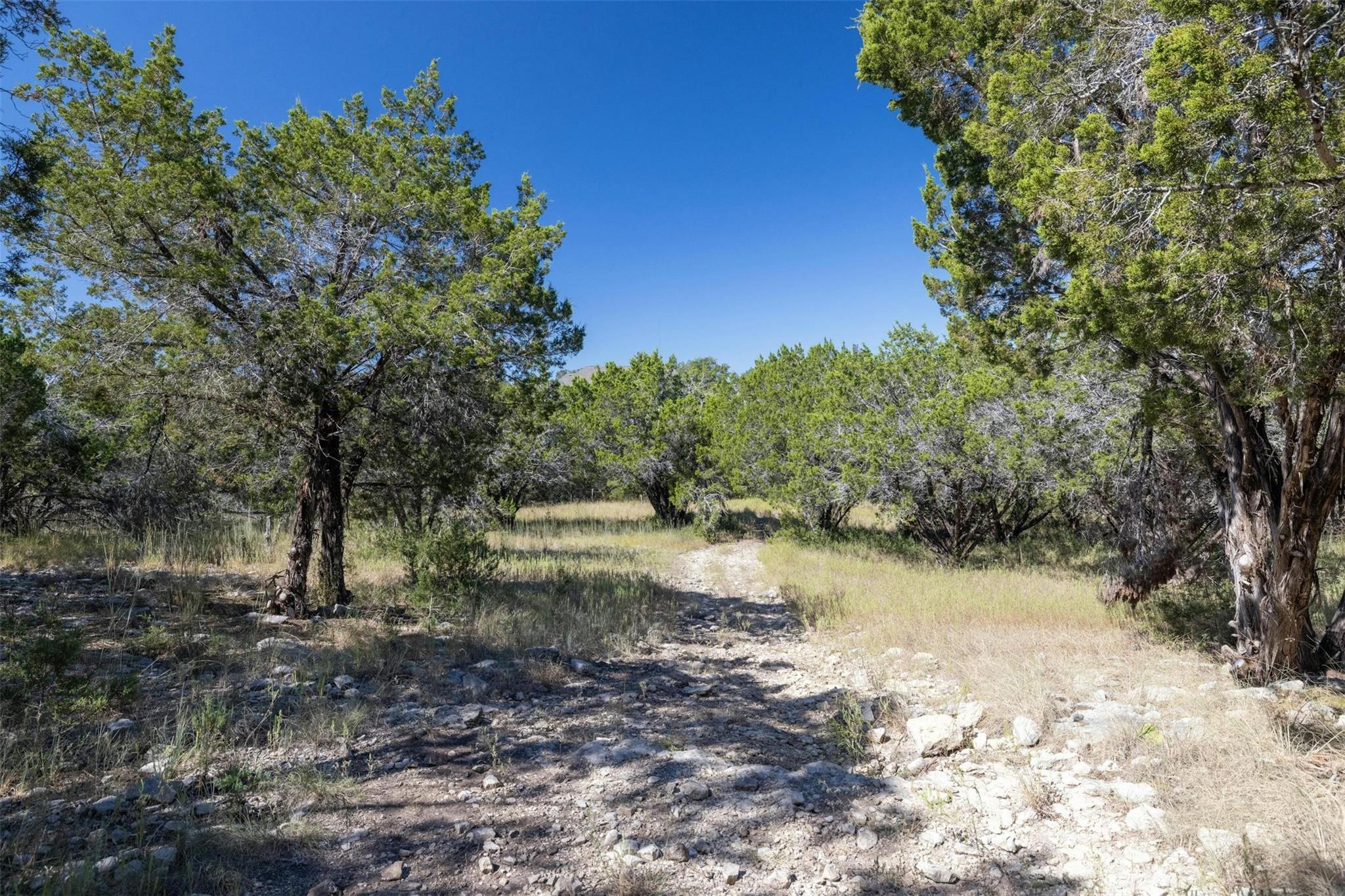 412 Bear Creek Tx 78642