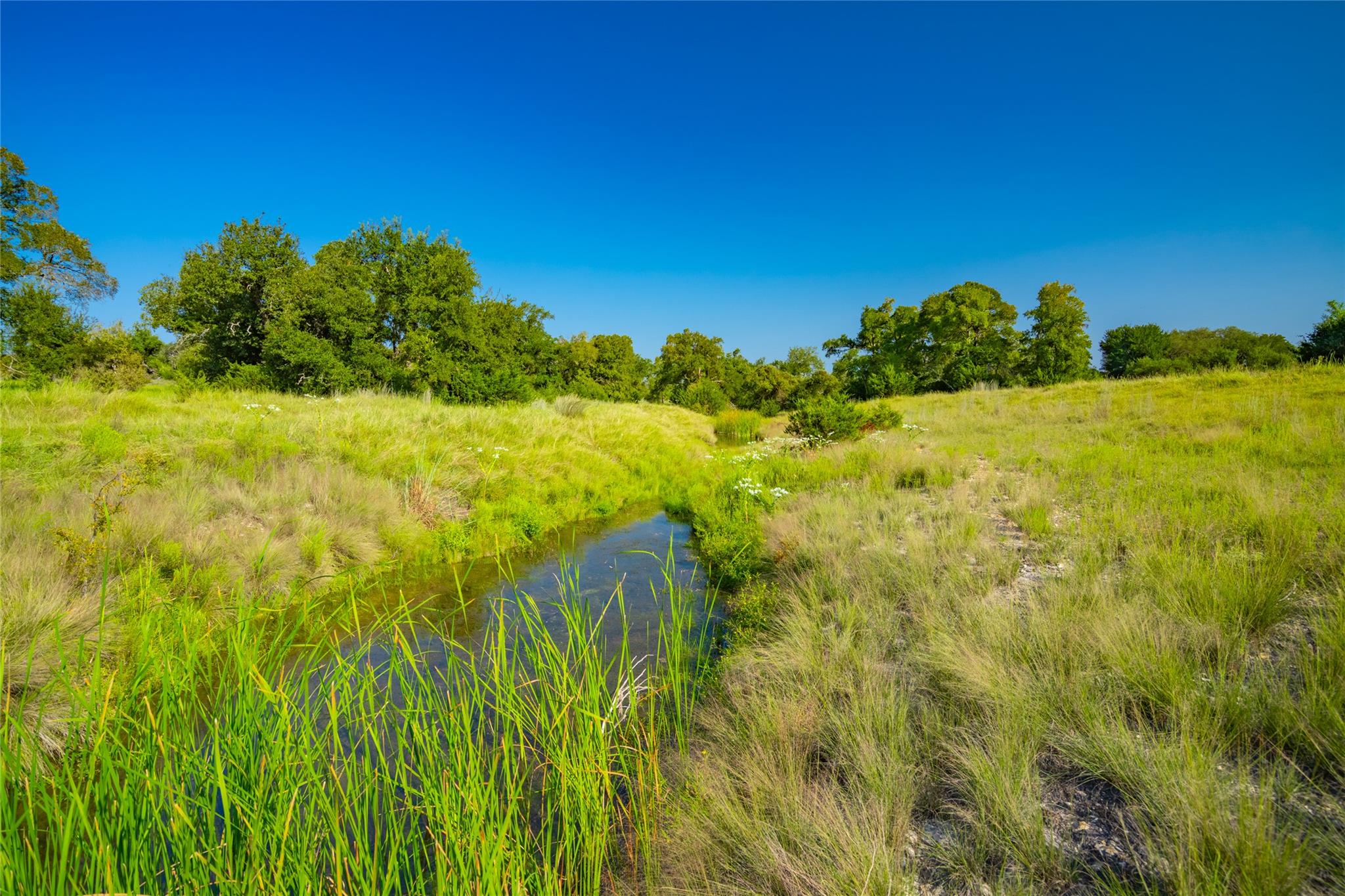 2801 County Road 228 Tx 76527