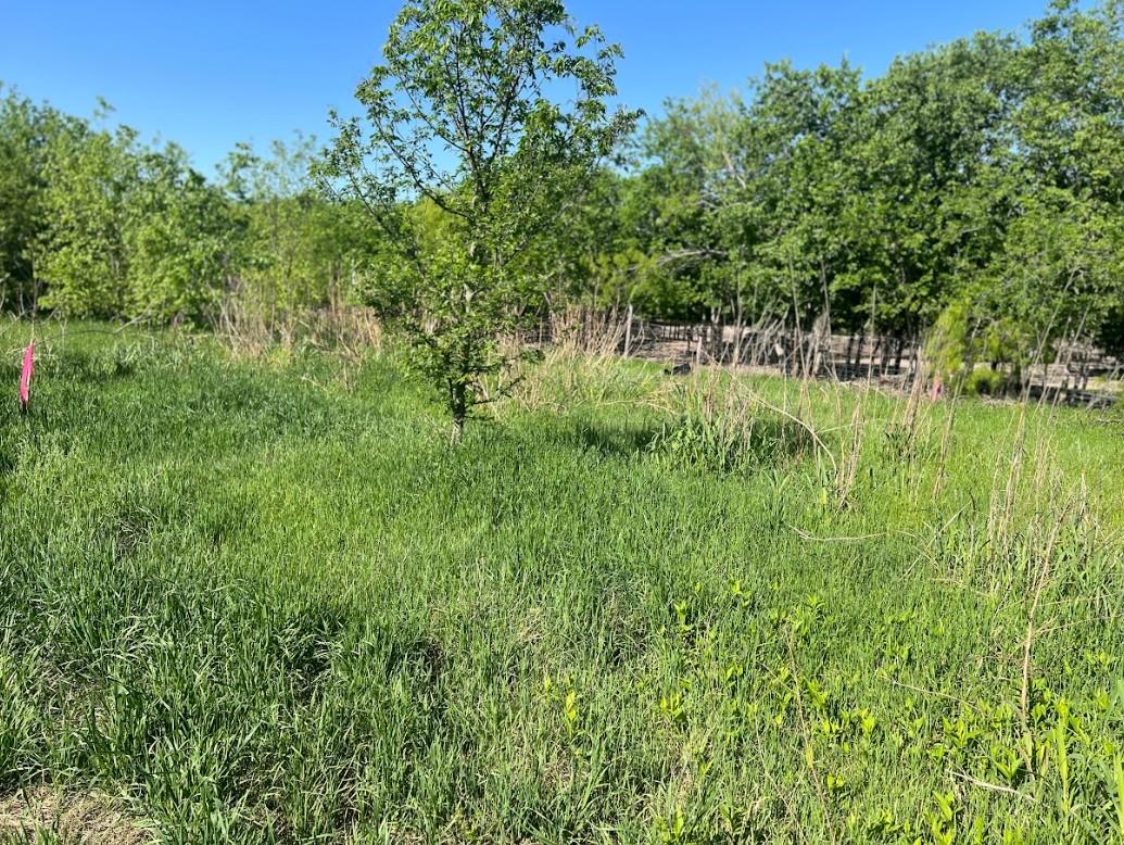 W Brook St(lot #2, Bk 72) Brook Tx 76511