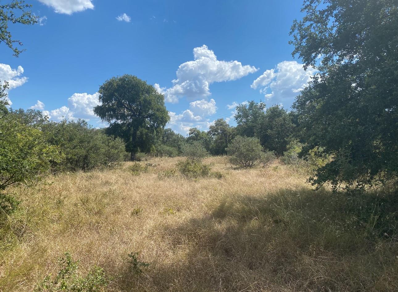 626 Strada Luca Tx 76527