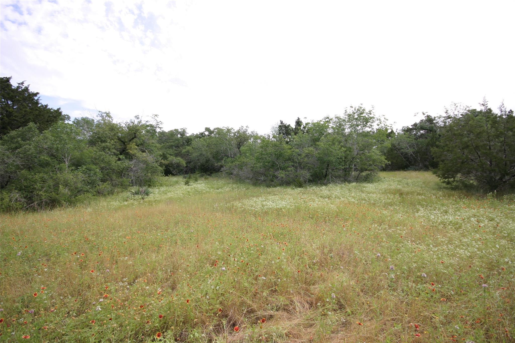 1900 County Road 156 Tx 78628